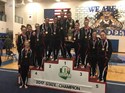 Another Gymnastics State Title